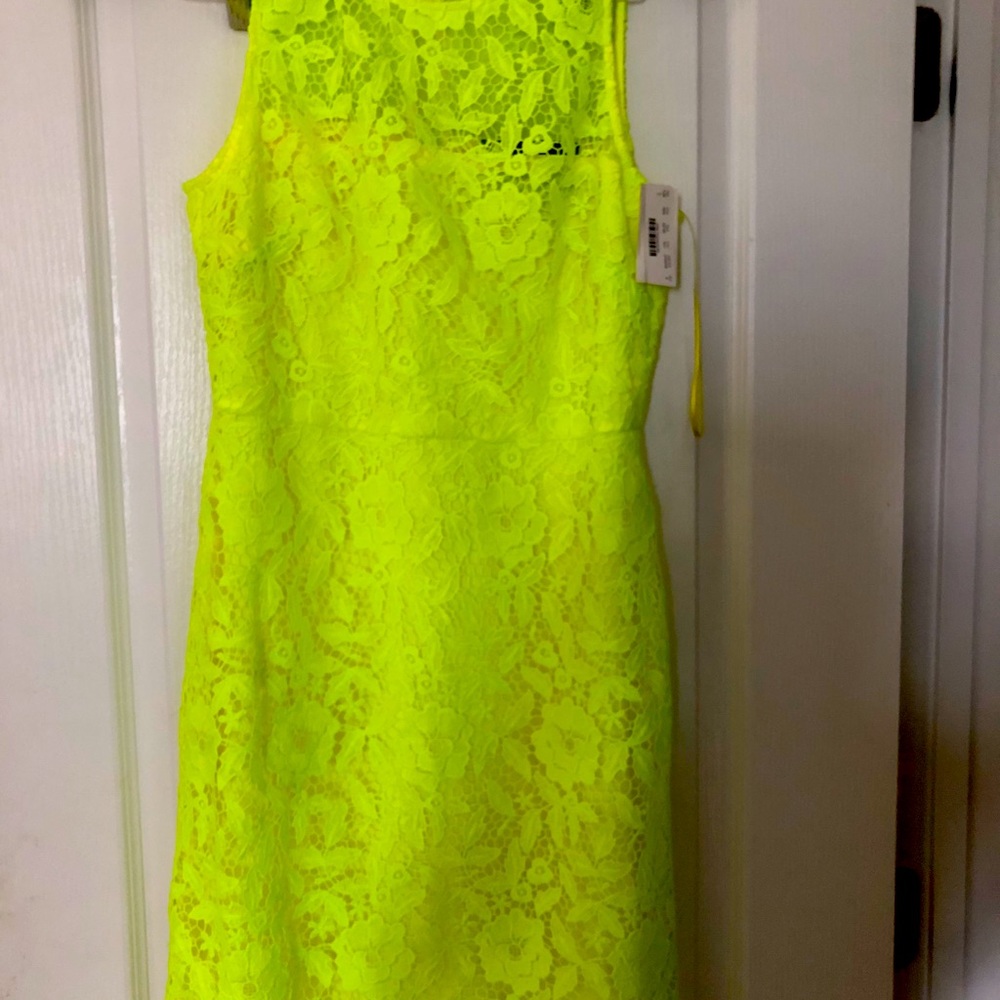 J Crew lace sheath neon style A8182